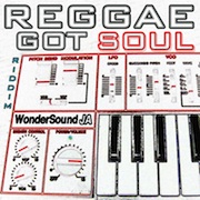 Reggae Got Soul - Various Artists